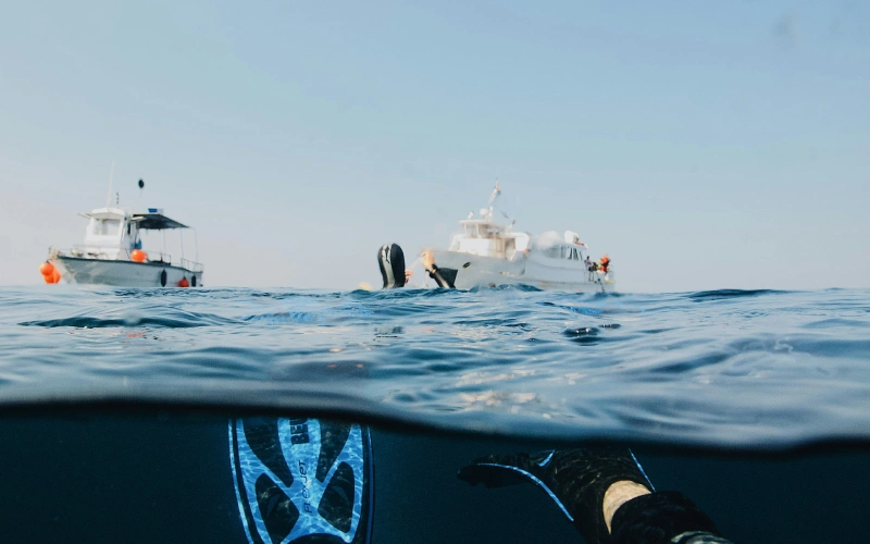 Best places to snorkel in the Caribbean | Homebelike